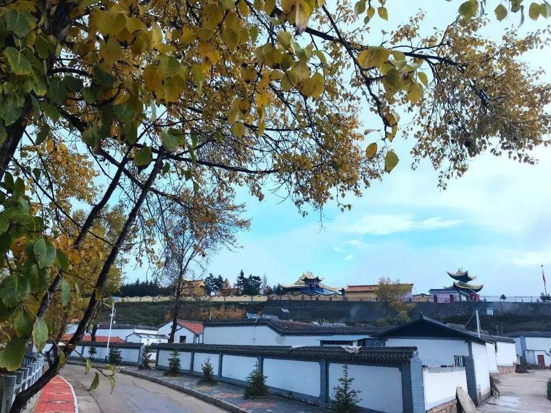 藏王故里冰川之乡,藏王故里避暑天堂