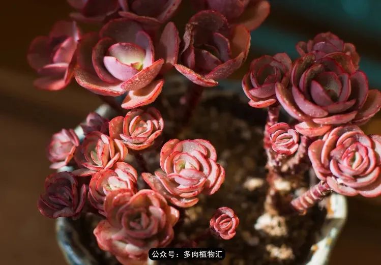 专注于自己喜欢的事情,专注于自己喜爱的事情