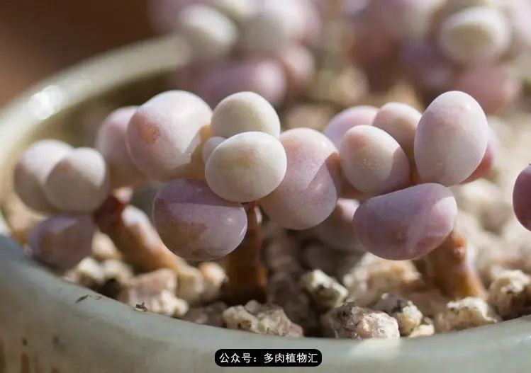 专注于自己喜欢的事情,专注于自己喜爱的事情