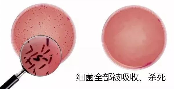 冰箱有异味放什么除菌,冰箱有异味能清出来嘛