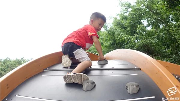 南海区遛娃的好地方,遛娃好去处佛山公园