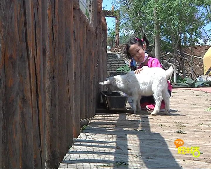 近郊亲子农场有哪些地方,亲子休闲农场