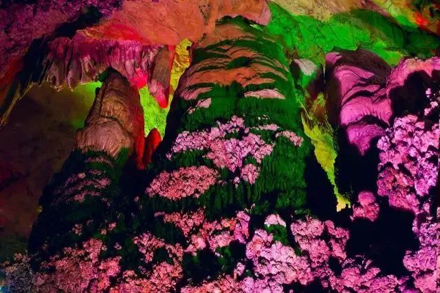 溶洞、观鸟、湿地雨林、网红吊桥、瀑布...只要99元小鲁哥带你清凉一夏