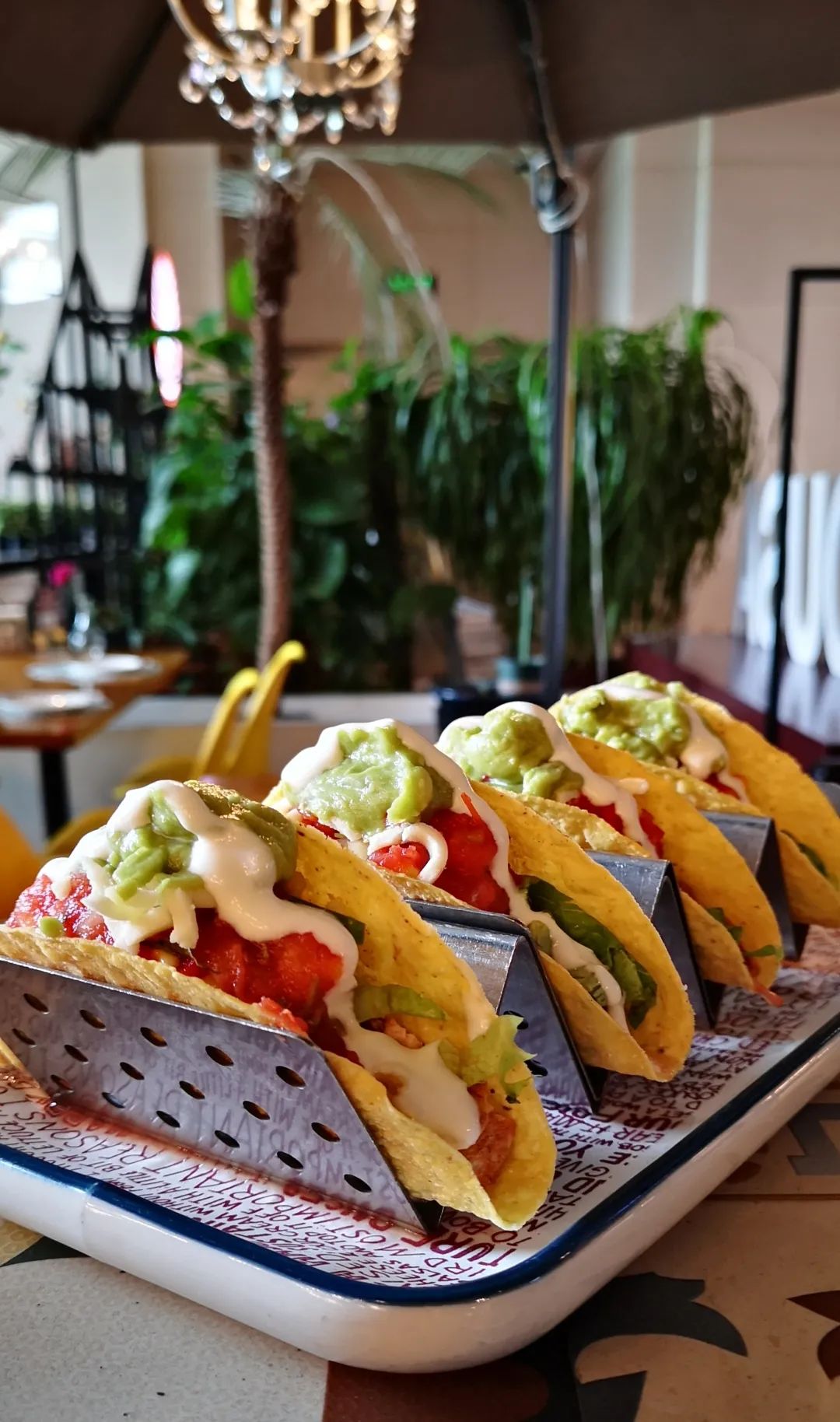 地道的墨西哥菜,最正宗的墨西哥菜