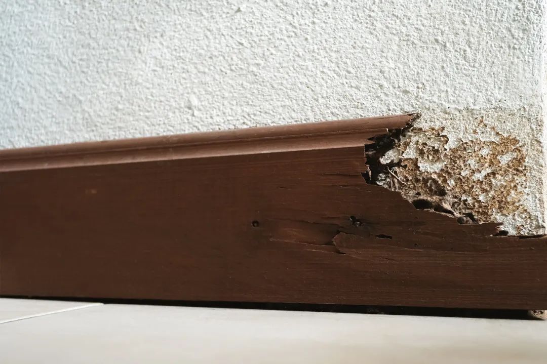 上海夏季办事通讯录大全，赶紧收好啦