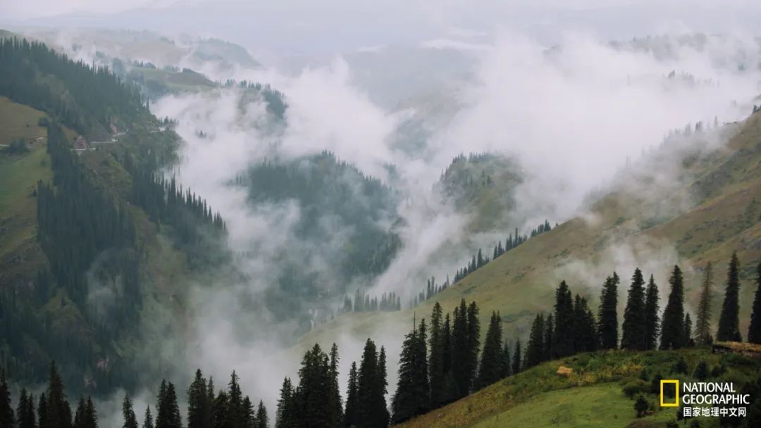 有一种异域风情的美,有一种前所未有的力量充斥着我