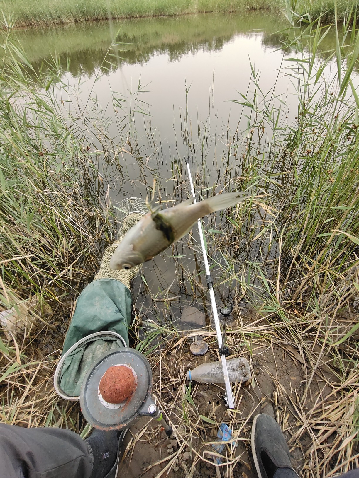 野钓水底有水草调漂最佳方法,野钓水底有枯水草