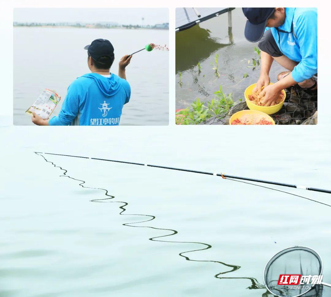 望江钓鱼比赛,望江亭钓鱼大赛