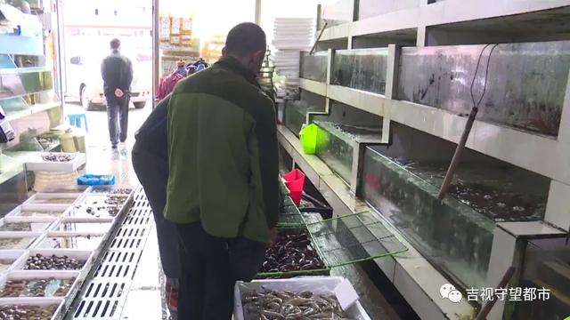 长春市海鲜批发加工市场,长春水产海鲜批发市场
