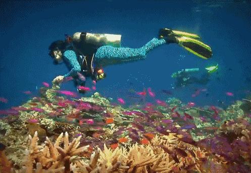 马代度假攻略,马代奢享酒店