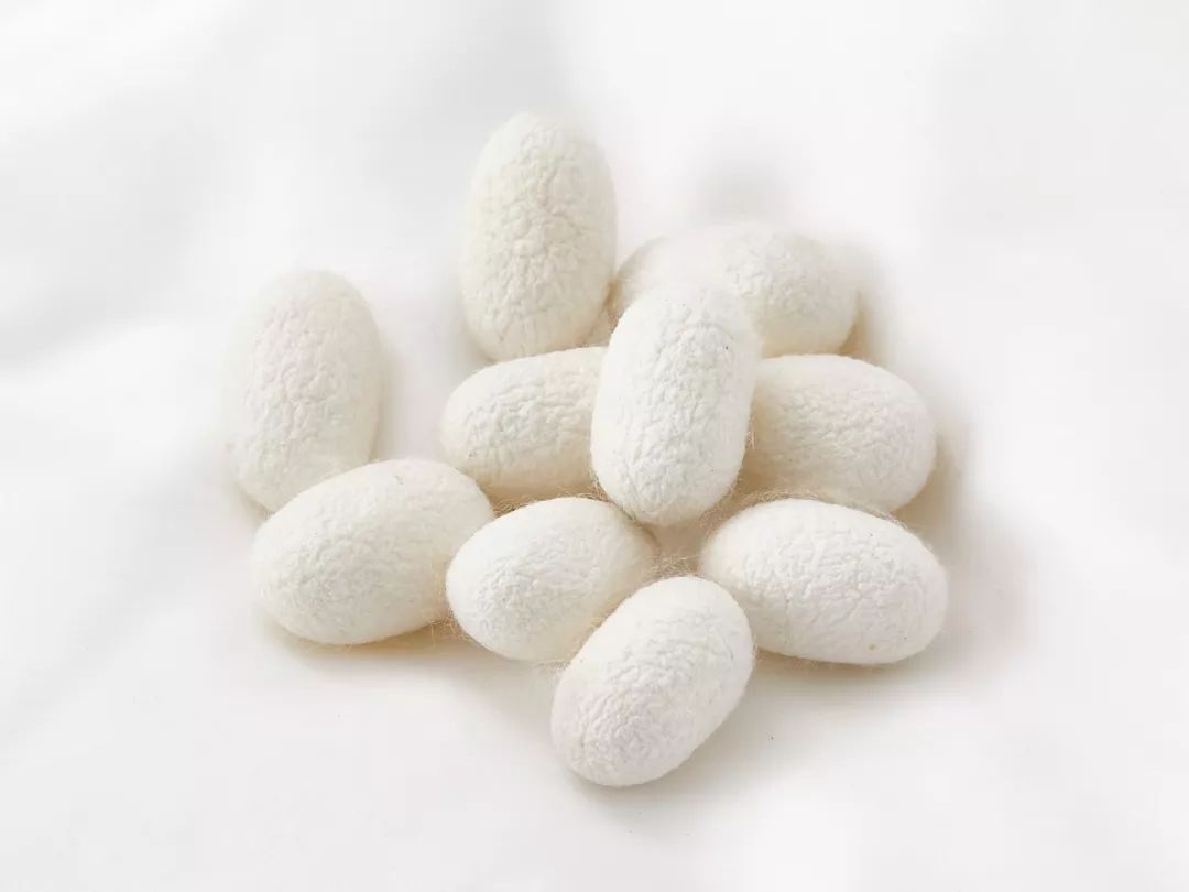 夏季最凉快桑蚕丝,桑蚕丝适合夏季