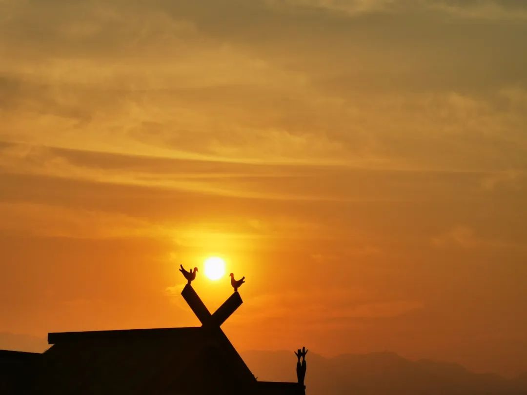 悦读——佤山的鸟儿:燕子