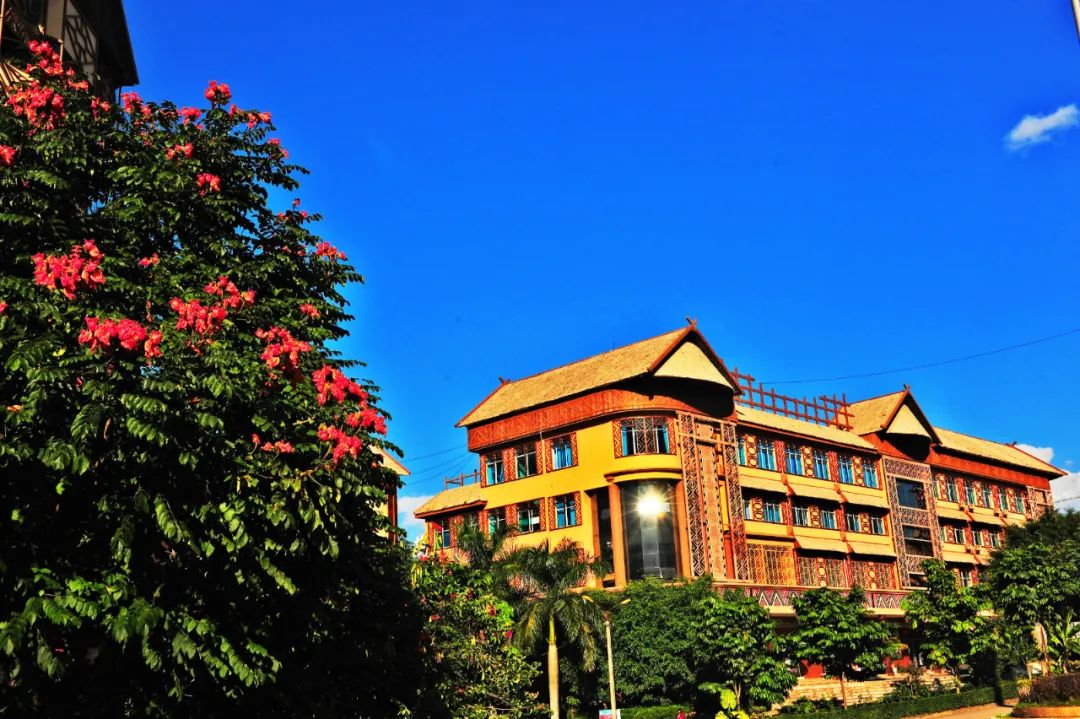 悦读——佤山的鸟儿:燕子