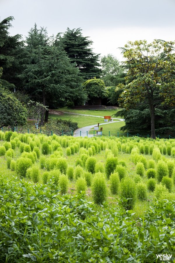 挂机Rf镜头推荐,佳能rf挂机镜头拍视频
