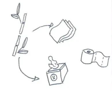 邕小环讲生态故事｜竹子的馈赠：土种树，木养土。竹子的功劳，你知不知道？