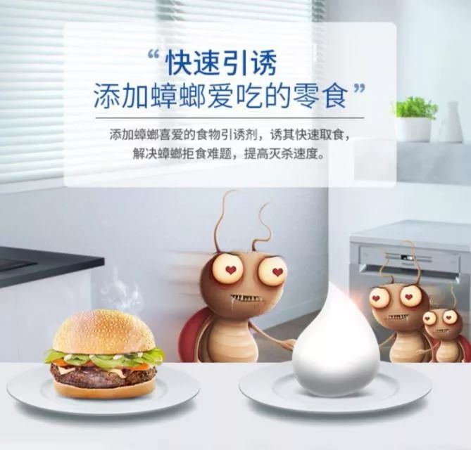 灭蟑螂的最好方法彻底消灭蟑螂,灭蟑螂的最好方法家里有很多蟑螂