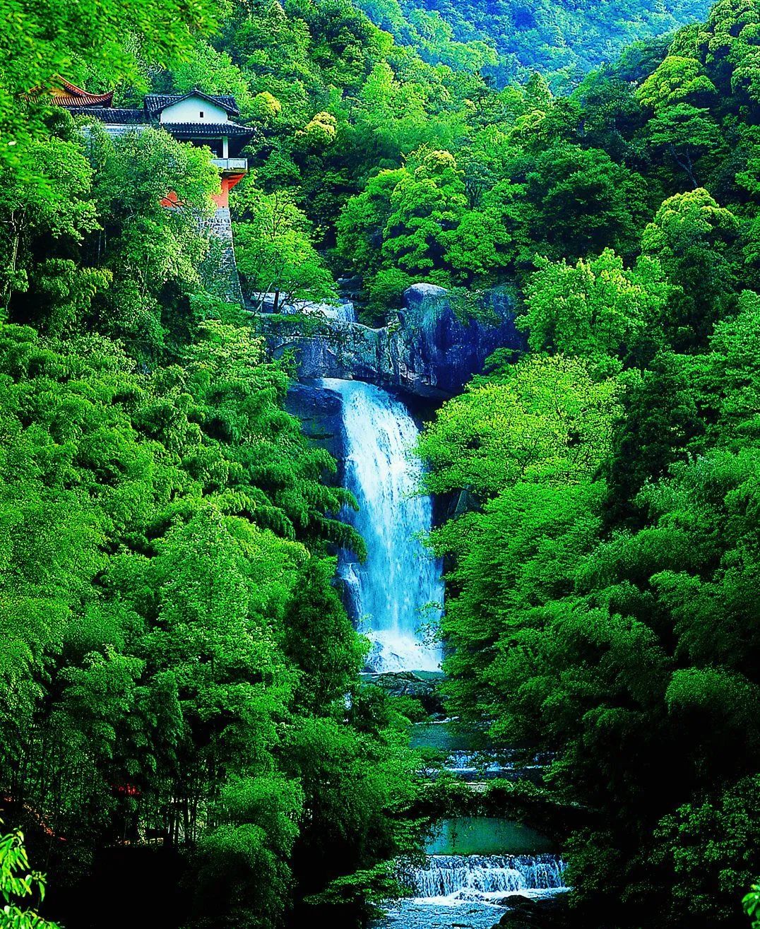 好喝又能微醺的米酒,好喝的起泡型米酒