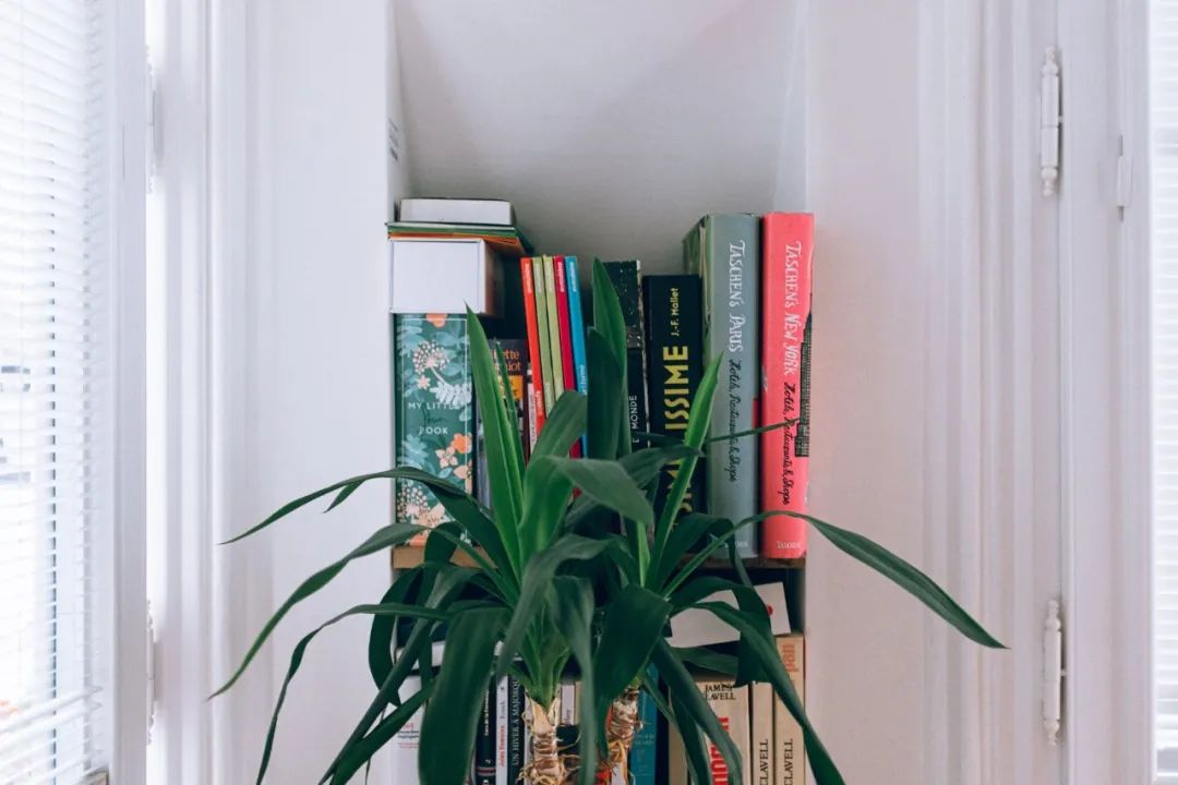 荐号|几个经典的教育类公众号