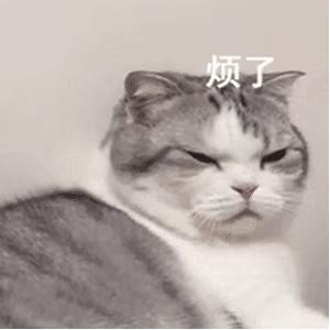 微信昵称有修改功能,微信新出功能昵称