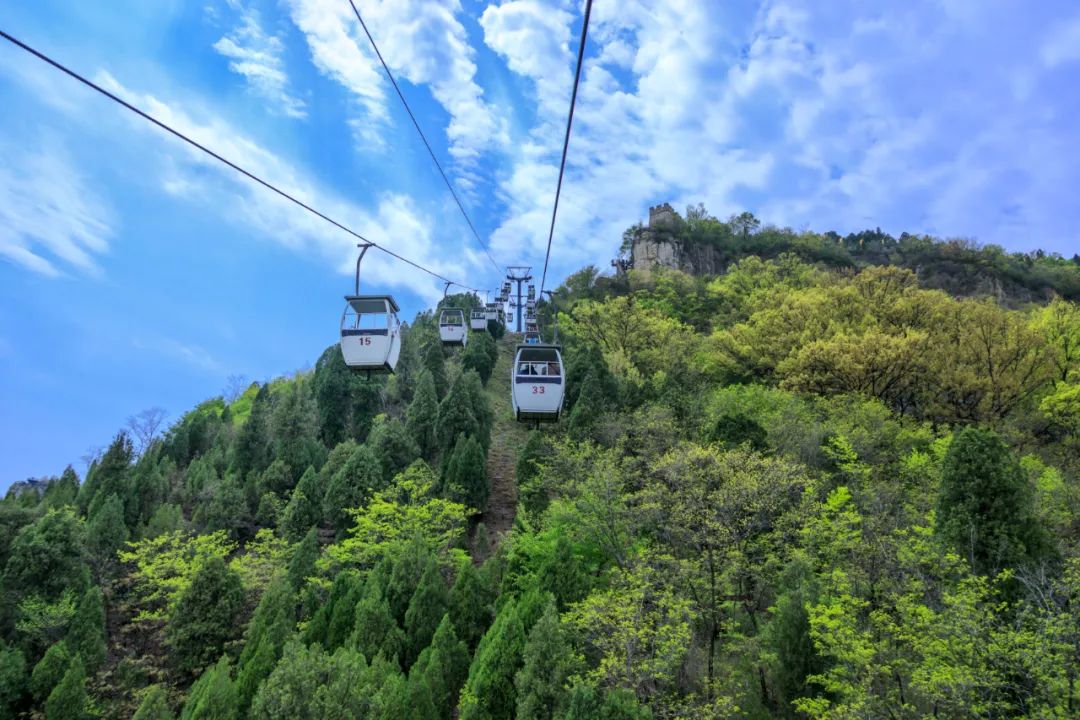 景区活动丨转发就免门票，这个父亲节，沂水旅游为您孝心买单！！！