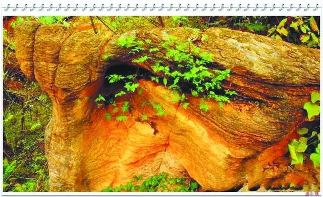 庐州石头传奇:“石公、石婆、石小姐”、“棋盘石”、“霸王石”……