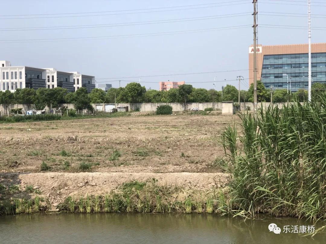 康桥镇学生日记,康桥日记内容