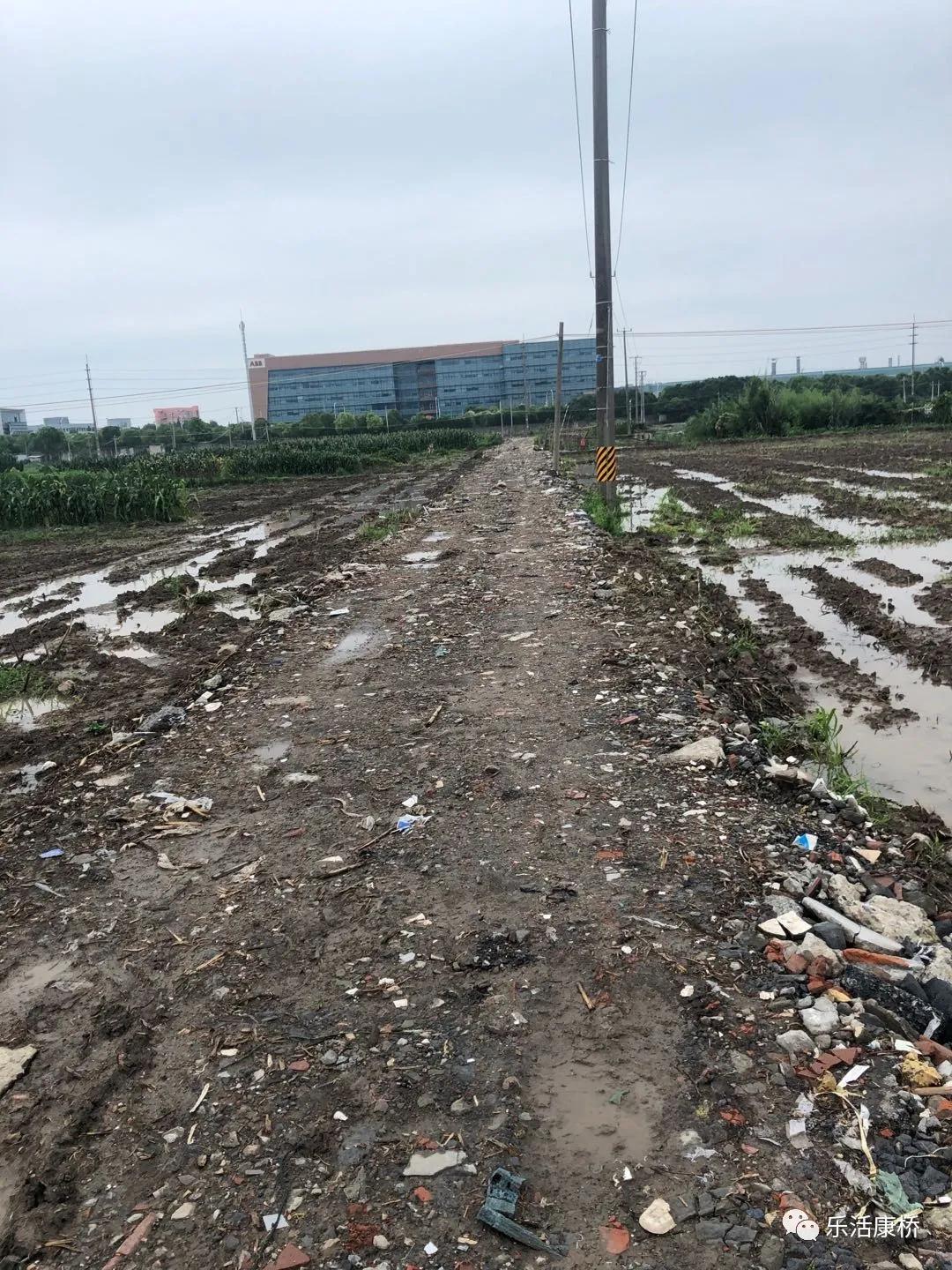 康桥镇学生日记,康桥日记内容