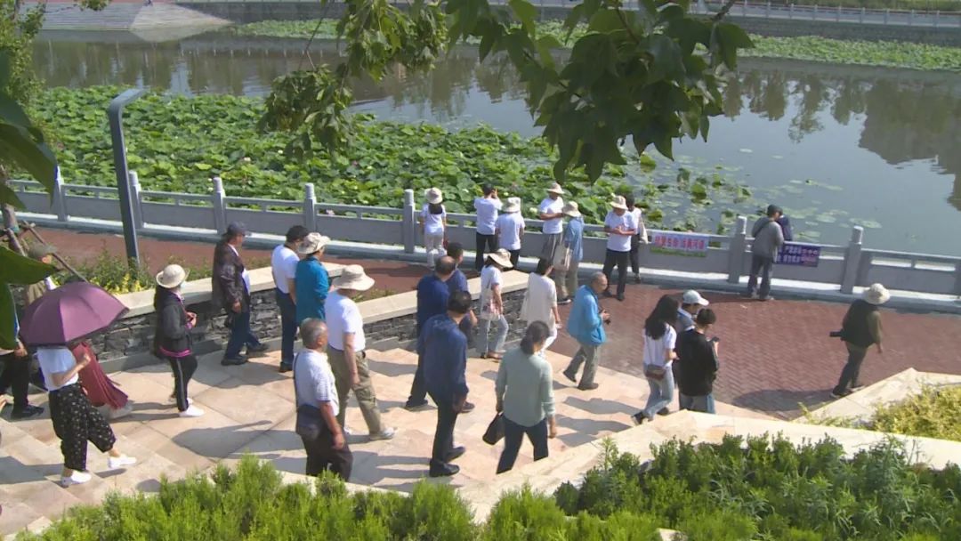 焦作文联志愿服务乡村行,焦作文联文艺志愿服务