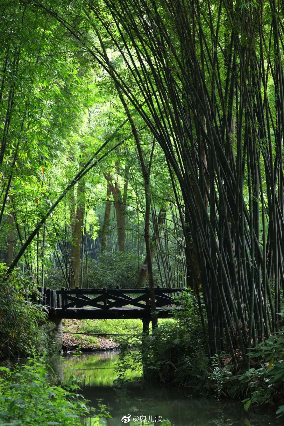 火了火了！成都又新添一个区，地铁10号线直达！夏日纳凉、吃河鲜…3日郊游路线，安排→