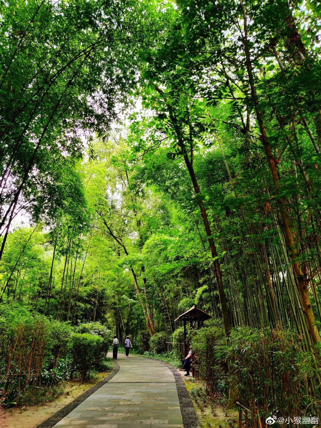 火了火了！成都又新添一个区，地铁10号线直达！夏日纳凉、吃河鲜…3日郊游路线，安排→