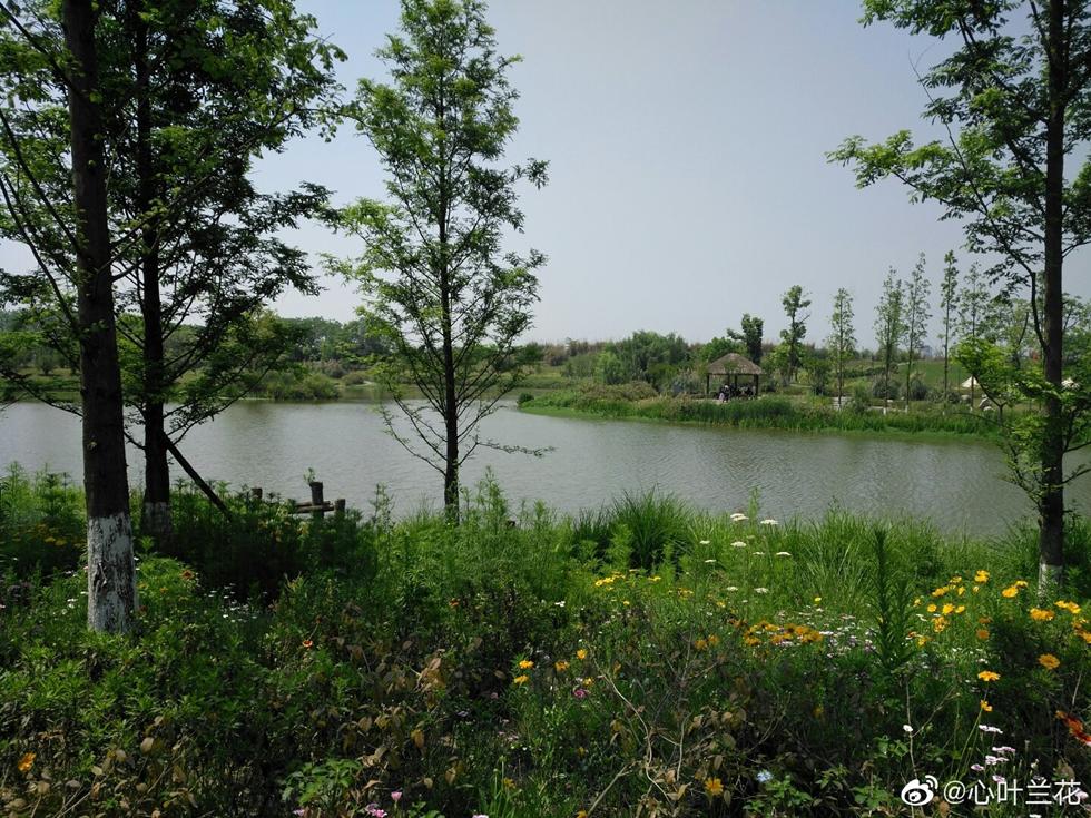 火了火了！成都又新添一个区，地铁10号线直达！夏日纳凉、吃河鲜…3日郊游路线，安排→