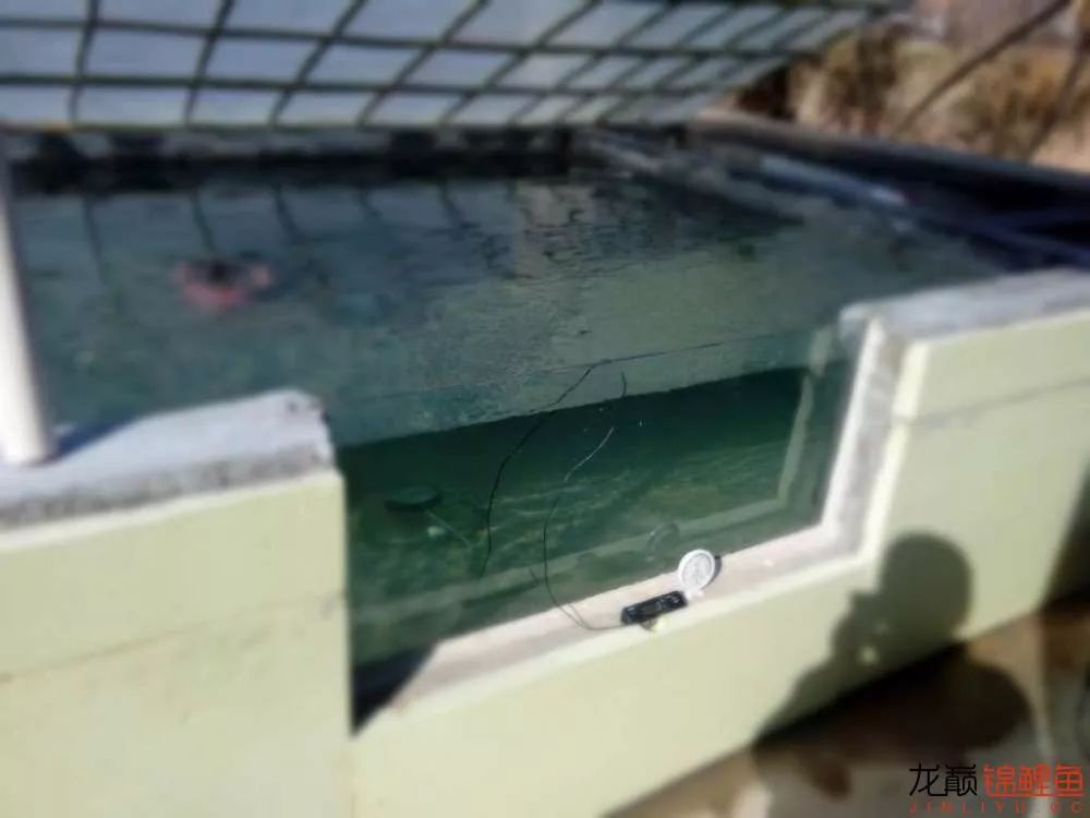 锦鲤池建造施工过程,楼顶怎么施工建锦鲤池