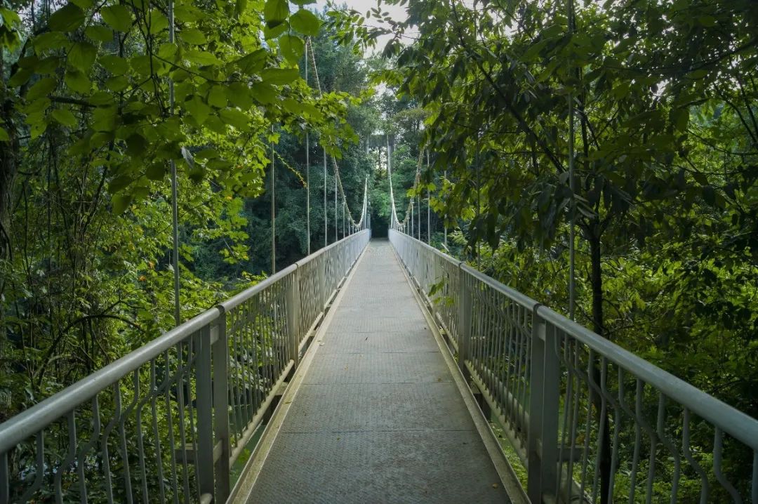 真香！去乐园耍水，到秘境观溪，本周门票福利已送达~