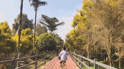 成都1100个公园俯瞰,成都100个公园规划图