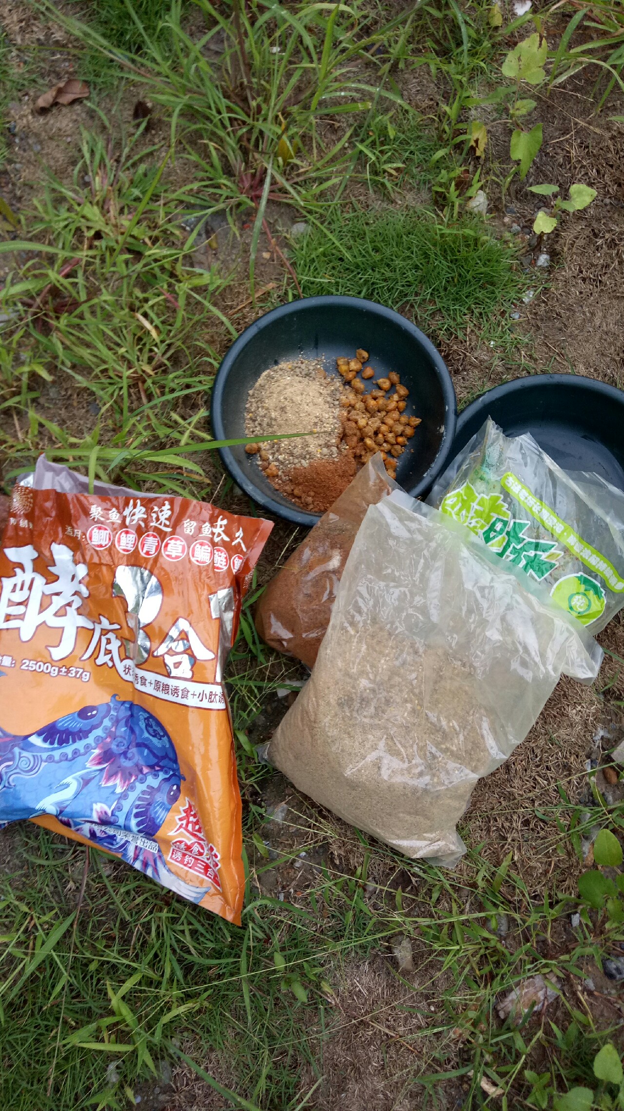 乌龙江野钓,乌龙江有什么鱼钓