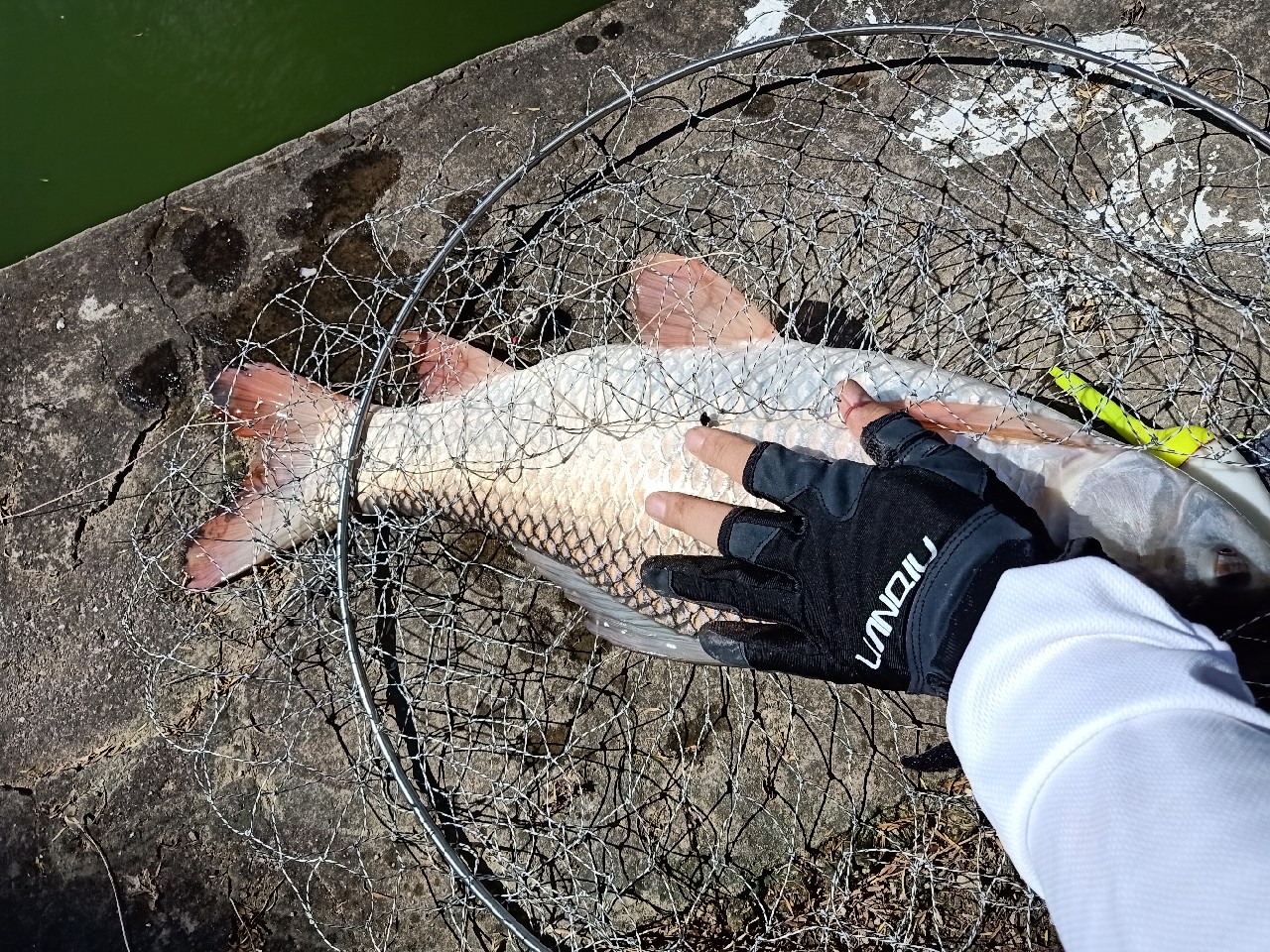 开局即是巅峰第6集,开局即巅峰完整版