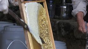 蜂农找蜂蜜销路,养蜂人蜂蜜滞销怎么办