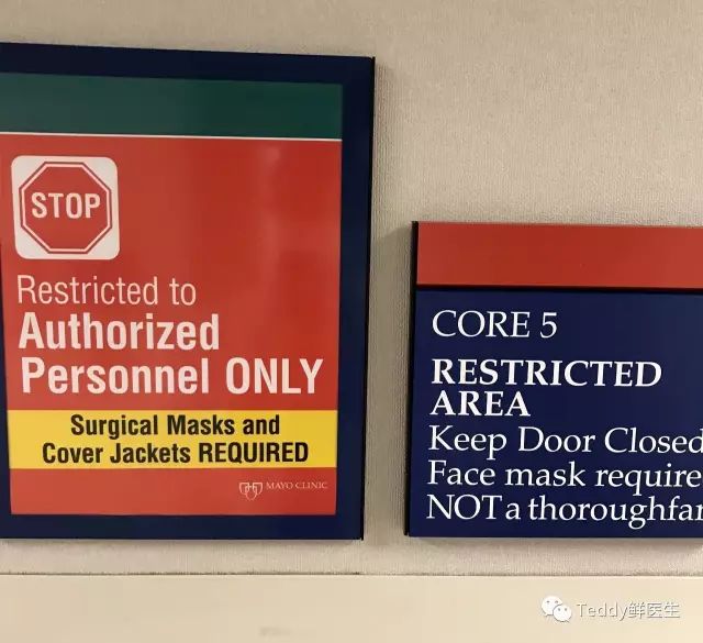 梅奥诊所经历,梅奥诊所真实照片