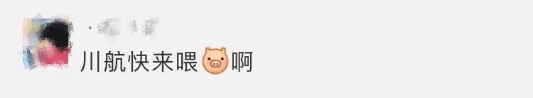 2000元飞机可容纳16人,2000块钱无限次飞海南