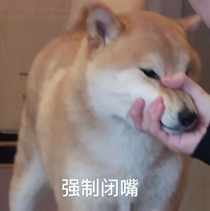 盘点女生遇到的尴尬瞬间,女生一定要知道的尴尬小妙招