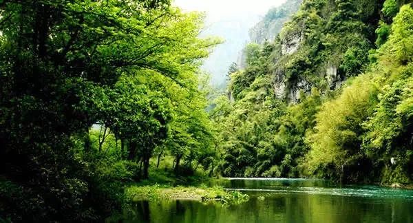 娄艺潇住的哪个酒店,娄艺潇旅游住民宿