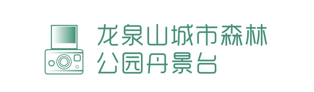 成都绿道潮玩地点推荐,成都绿道附近好玩的地方