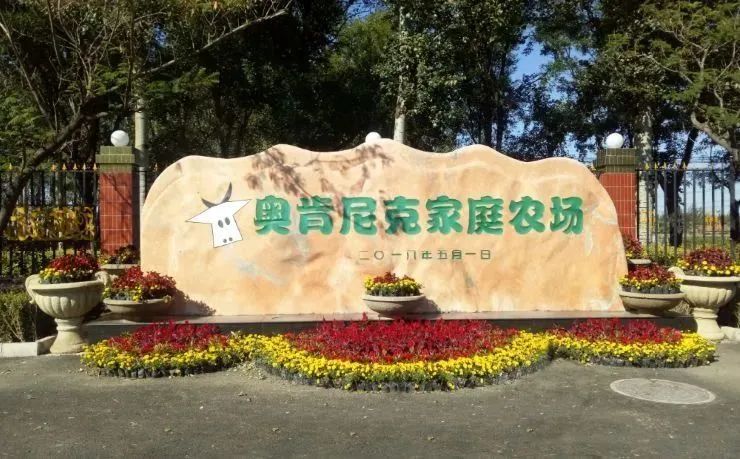 周末亲子好去处无动力乐园,亲子农场适合带孩子去玩的地方