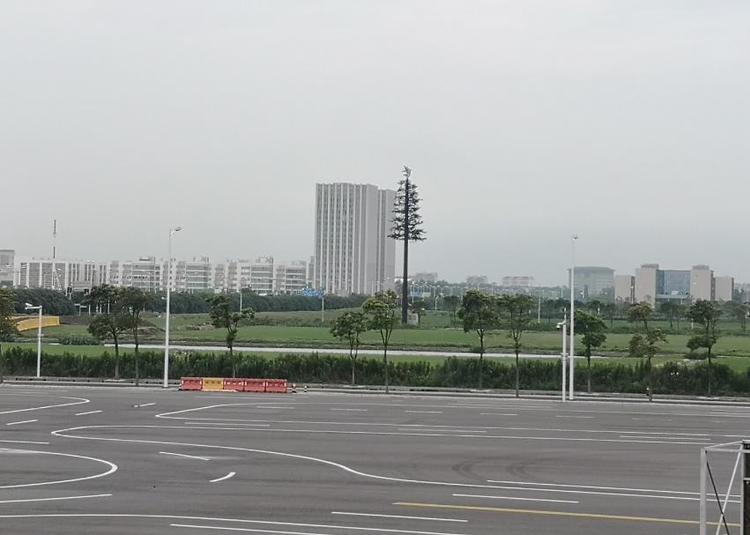 自动挡驾考科目二新规全部细节,自动车科目二考试用哪个档位