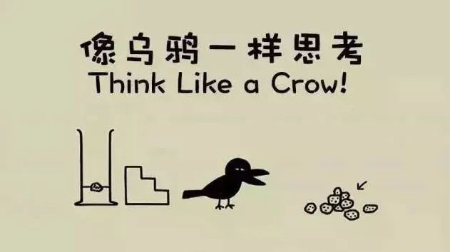 妥妥的知识宝藏！这位妈妈深扒B站，今年暑假学习资源不用愁了