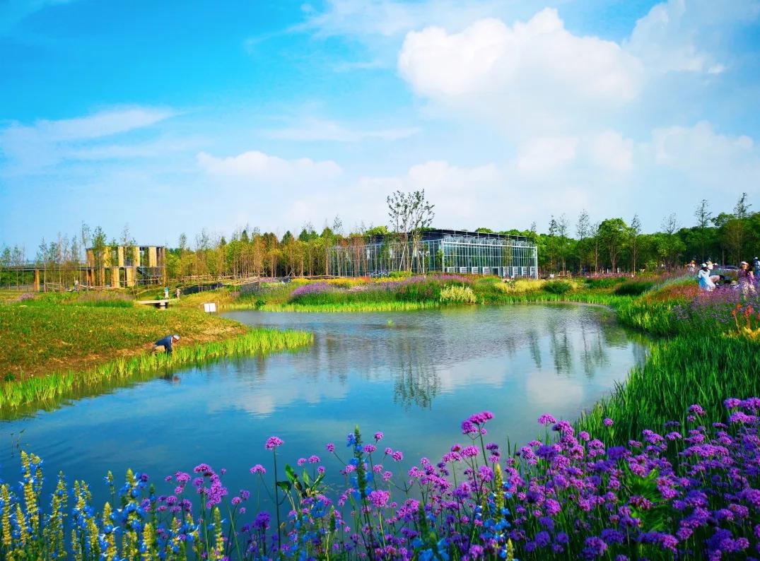 上海宝山：找准产业定位，寻求差异化发展，都市乡村振兴之路越走越宽