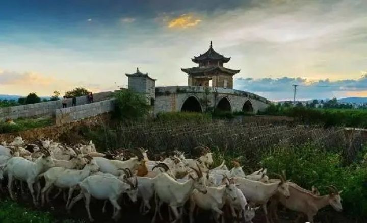 建水记之四于坚原文,建水记于坚全文阅读理解