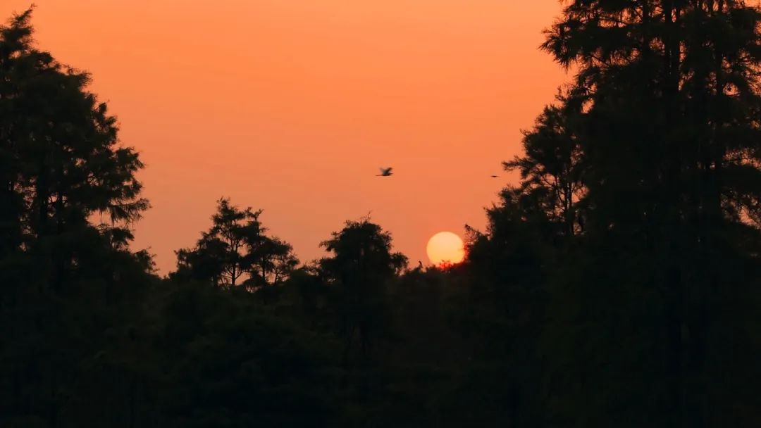 从a到z的英语歌,从a到z女声版