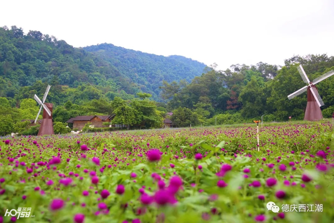 德庆盘龙峡最新视频,德庆县盘龙峡全景图