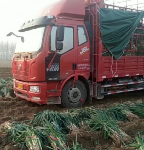 往返100公里耗油多少钱,来回140公里用多少油